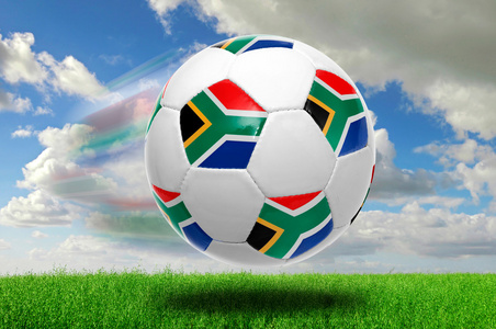 球员和教练 球员和教练